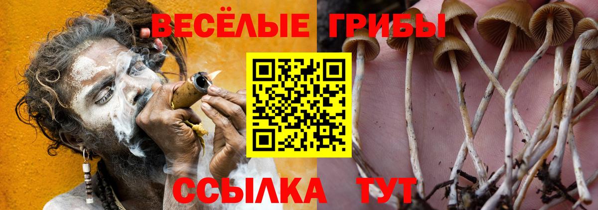 Псилоцибиновые грибы мухоморы Выкса